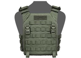 plate-carrier-warrior-assault-