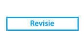 Vuistwapen revisie